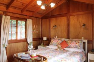 Tamborine Mountain Bed and Breakfast - Tamborine Mountain - 5