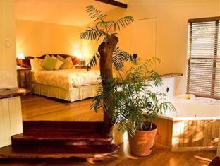 Hunchy Hideaway - 1