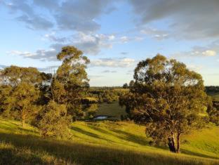 Down to Earth Farm Retreat - Sarsfield - 7