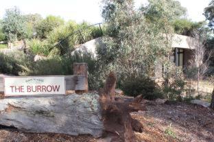 Down to Earth Farm Retreat - Sarsfield - 2