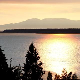 Susitna Place B&B - 4