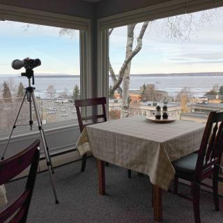 Susitna Place B&B - 5