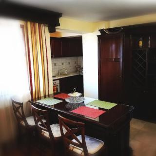 Penthouse Renașterii Amazonia - Timişoara - 3