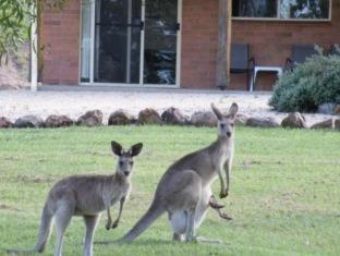 Rubyvale Motel & Holiday Units - An Adults Only Getaway - Rubyvale - 6