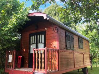 Millygite roulotte - 4 seasons Chalet-on-wheels - Milly-la-Forêt - 0