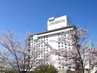 Okayama International Hotel - Okayama - 7