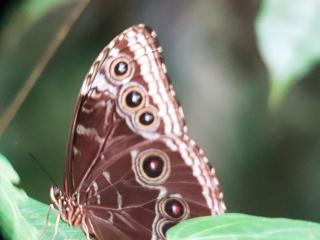 Casita con Vista al Mar - 3