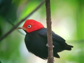 Casita con Vista al Mar - 6