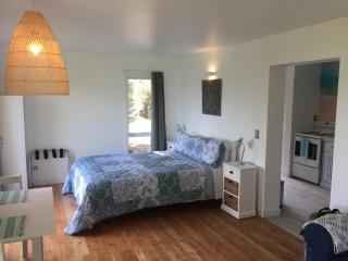 Studio 531 - Coromandel - 3