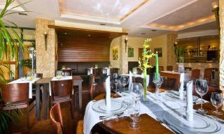 Hotel Am Rosenberg - Bad Driburg - 6