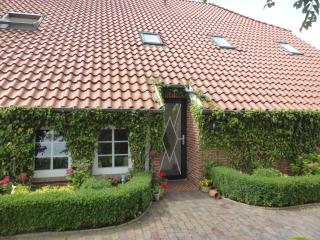 Friesenwohnung - Norden - 7