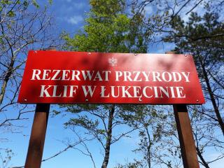 Dom Gościnny u Rekina - Łukęcin - 9