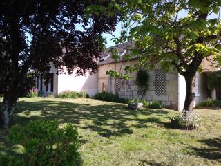 GITE LES HAUTES MOUGONNIERES - Neuil - 1