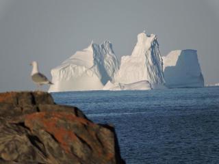 By The Sea Tourist Home - Bonavista - 4