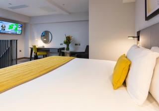Maldron Hotel Pearse Street Dublin City - Dublino - 3