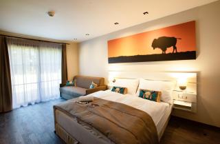 Residence Safari Resort - Bison Lodge - Borovany - 5