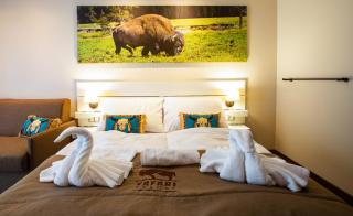 Residence Safari Resort - Bison Lodge - Borovany - 8