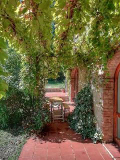 Podere Poggio Corbo - Chiusdino - 5