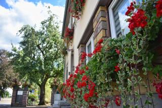 Hôtel Deybach - Munster - 5