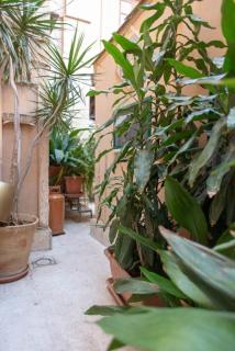 ERCTA - Palermo - 1