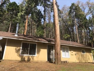 Sequoia National Forest CabinM - Panorama Heights - 4