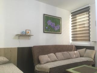 Apartment Ramonda - Kopaonik - 7