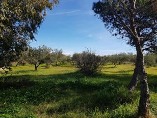 House Mia - Cala Liberotto - 7