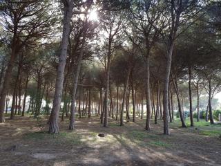 House Mia - Cala Liberotto - 5