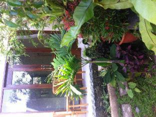 Pondok Bali - 4