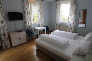 Hotel-Gasthof Opel - Heinersreuth - 4