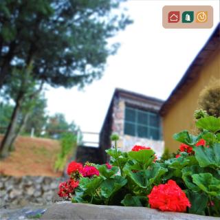 Rancho EL PARAÍSO AJUSCO - Città del Messico - 6