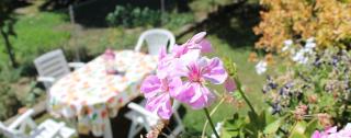 B&B Via Roma - Cesate - 7