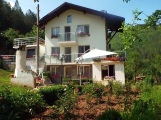 The Illuminating House - Lomnitsa - 8
