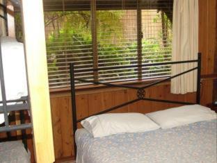 Atherton Blue Gum - Atherton - 3