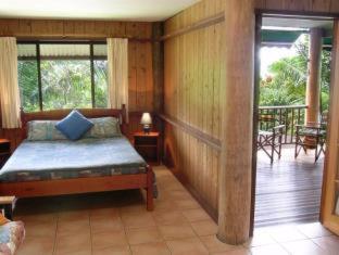 Atherton Blue Gum - Atherton - 2