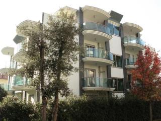 Residenza Villa Flores - Bellaria-Igea Marina - 4