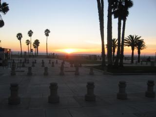 Venice Beach Delight - Los Angeles - 1