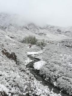 CasaFélix - Mendoza - 5