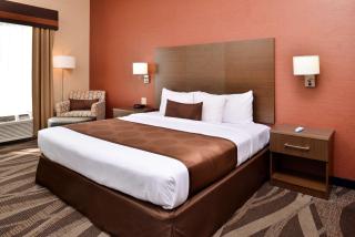 Best Western Plus University Inn - Olean - 1