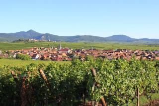 Gaby et Georges - Beblenheim - 9
