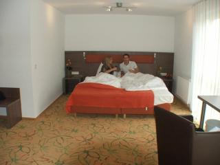 Hotel Aviva - Karlsruhe - 7