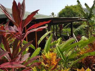 Hibiscus Valley Inn - Marigot - 8