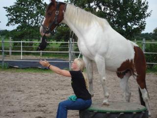 Little Farm House, 25164 - Bunde - 3