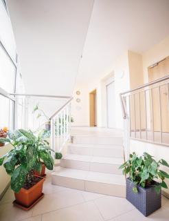 Hotel - Pension Vesta - 7