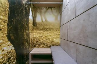 GOLDENapartment - 1