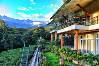 Lamrin Norwood Green Palampur, Himachal Pradesh - Pālampur - 9