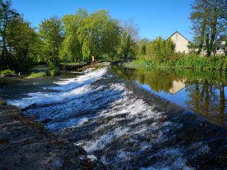 Townsend House Guest House - Birr - 2