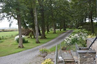 Crug Glas Country House - 5