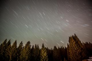 Nature Retreat 2 bedroom apartment Silver Mountain - Poiana Brasov - 3