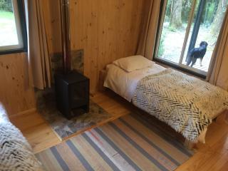 Cabañas Parque Michimahuida - 1